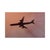 Guy Sargent, American Airlines, Archival Pigment Print For Sale - Image 4 of 6