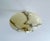Art Deco Pendant Light in Marble Glass, 1930s For Sale - Image 11 of 17