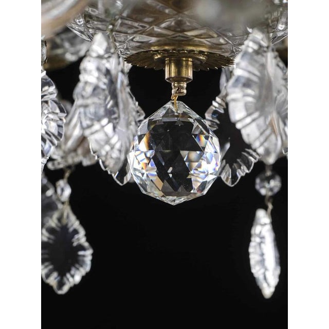 Small Crystal 8-Light Chandelier For Sale - Image 3 of 8