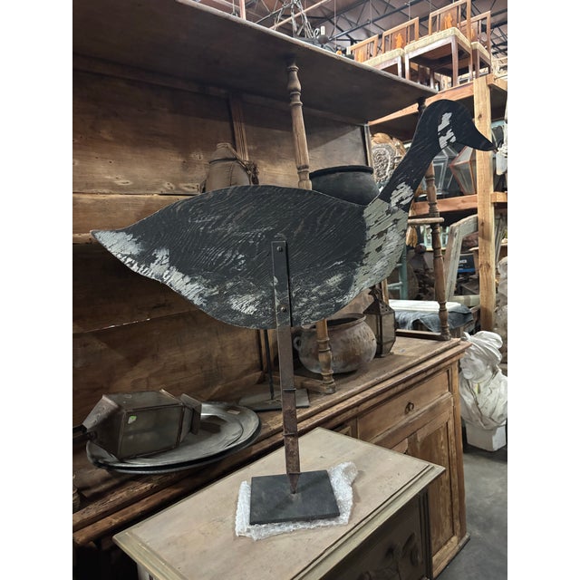 Mid 20th Century Canada Goose Decoy on Custom Iron Stand For Sale - Image 9 of 12