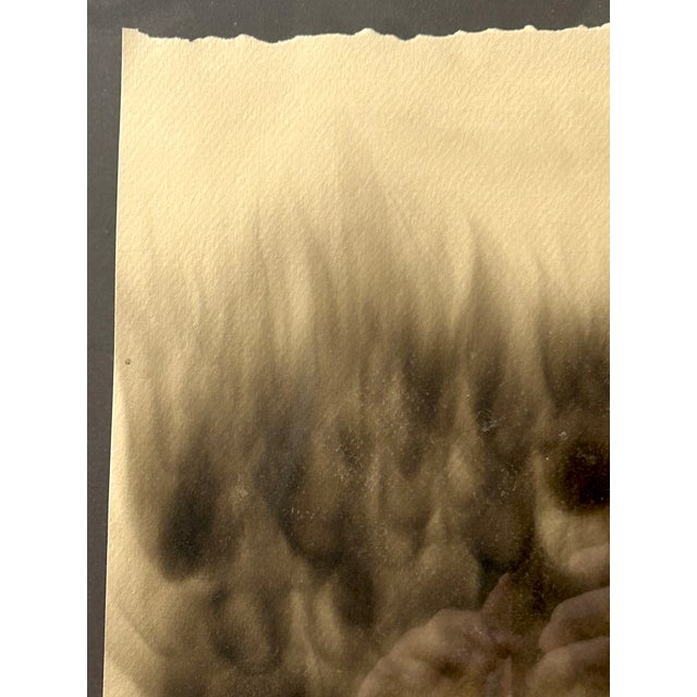 Angelo Monserat “Austerity Policies 5,” Smoke on Paper, Circa 2014 For Sale - Image 11 of 16