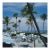 Florida Palms 1978 by Slim Aarons Brown Framed C-Print For Sale