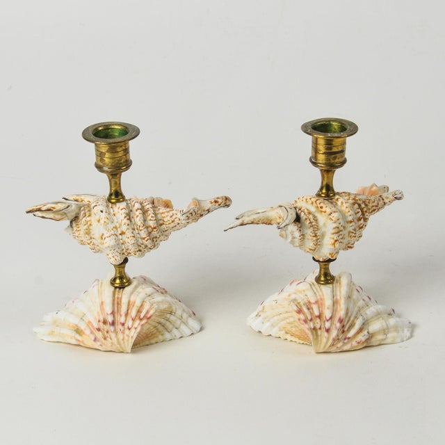 Vintage Natural Seashell and Brass Candlestick Holder Pair For Sale In Rochester - Image 6 of 13