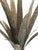 Mid-Century Modern Gilt Palm Table or Floor Lamp in the style of Tommaso Barbi, Italy, 1960s For Sale - Image 3 of 8