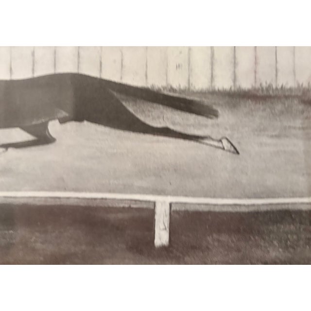 Early 20th Century Reproduction Print Race Horse Charcoal Drawing Signed by Artist For Sale - Image 10 of 11
