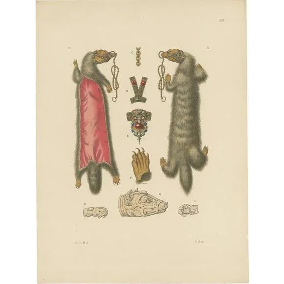 Late 19th Century Hefner-Alteneck, Illustration of Ladies' Jewelry with Fur of a Marten, 1890, Print For Sale - Image 5 of 5