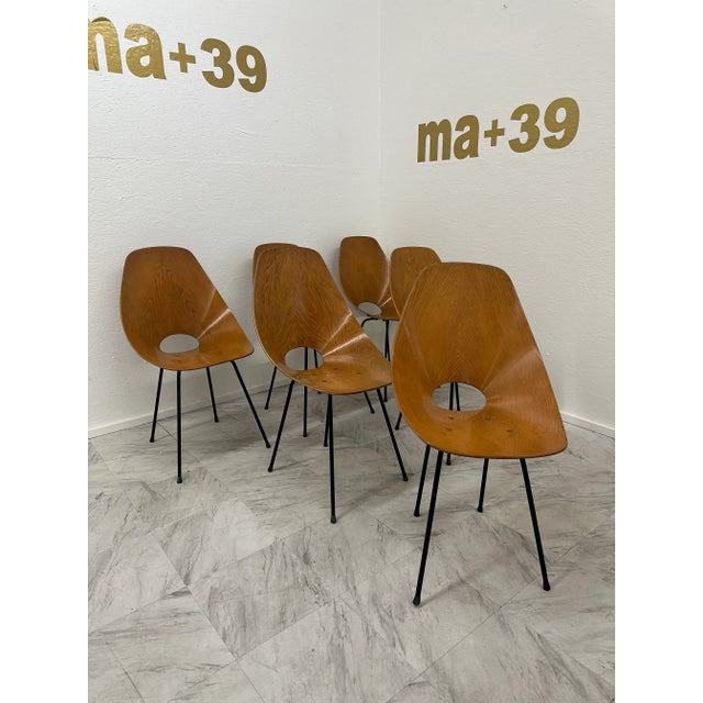 Set of 6 Medea Chairs by Vittorio Nobili, 1950s For Sale - Image 9 of 10