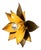 Vintage Brass Wall Sconces with Floral Motif, France, 1960, Set of 2 For Sale