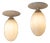 Ceiling Lights by Achille Castiglioni for Flos, 1980s, Set of 2 For Sale