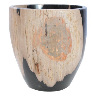 Petrified Wood Plant Pot by Xyleia Petrified Wood For Sale