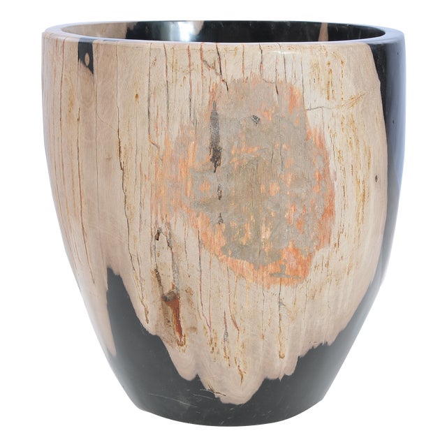 Petrified Wood Plant Pot by Xyleia Petrified Wood For Sale