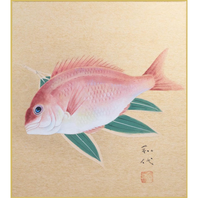 Japanese "Red Snapper", Heisei Era Japanese Watercolor Painting For Sale - Image 3 of 17