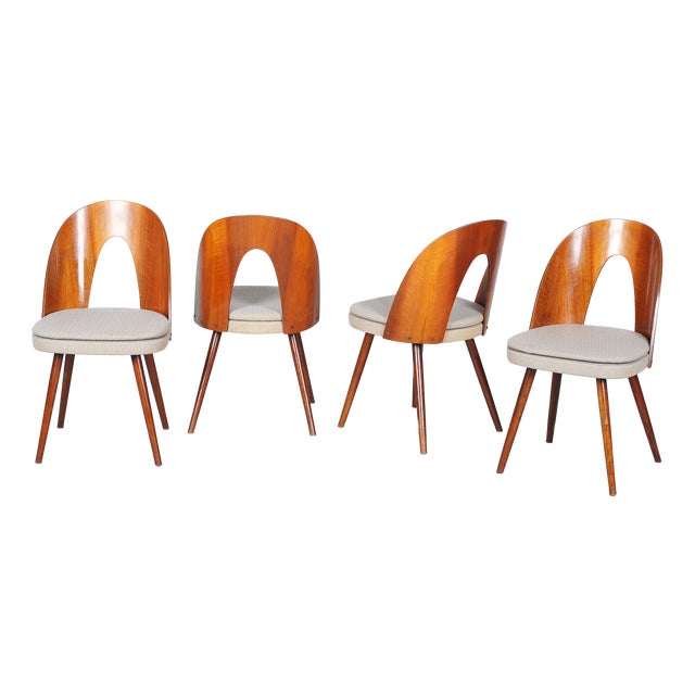 Mid-Century Chairs in Walnut attributed to Antonín Šuman, Czech, 1950s, Set of 4 For Sale