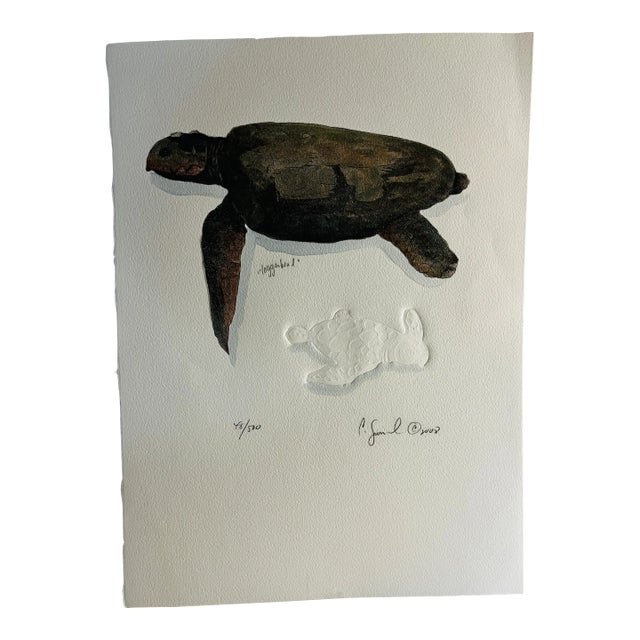 Contemporary Charles Leonard Loggerhead Original Print For Sale