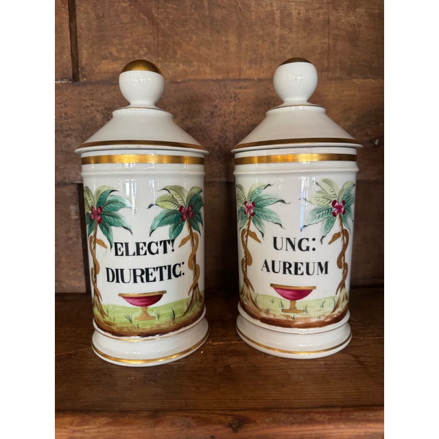 Late 19th Century Set of 12 Late 19th Century Continental Porcelain Apothecary Jars For Sale - Image 5 of 8