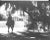 "Montpelier: The Recollections of Marion duPont Scott" 1976 Chamblin, Tony [Editor] For Sale In New York - Image 6 of 11