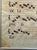17th Century 16th/17th Century Spanish Gregorian Chant Manuscript Leaf on Vellum in Glazed Silvergilt Frame. For Sale - Image 5 of 10