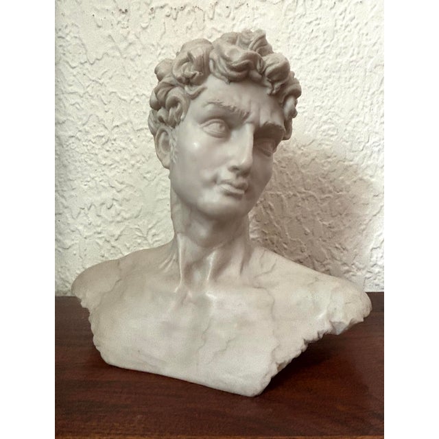 Late 20th Century Resin Michelangelo Bust of David For Sale - Image 6 of 6