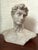 Late 20th Century Resin Michelangelo Bust of David For Sale - Image 6 of 6
