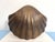 1970s Brass Clam Shell Door Knocker For Sale - Image 10 of 15