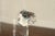 Late 20th Century Tiffany & Co. Modern Clear Crystal Champagne Ice Bucket With Scrolled Handles For Sale - Image 9 of 15