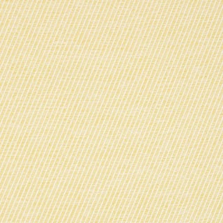 Sample - Schumacher Bowery Indoor/Outdoor Fabric in Yellow For Sale