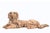 Indian Vintage Indian Carved and Painted Dog Statue For Sale - Image 3 of 4