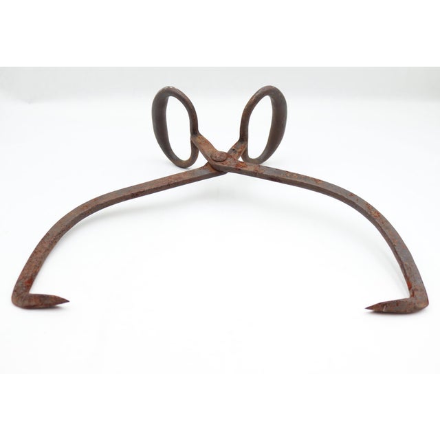 Early 20th Century Antique Wrought Iron Ice Tong For Sale - Image 5 of 6