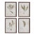 Petite Frond Prints, Set Of 4 For Sale