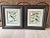Beautiful vintage pair of framed, bird species motif prints .