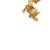 Earrings in 18K Gold and Citrine, Set of 2 For Sale - Image 3 of 6