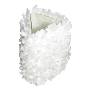 Grayson Vase in Selenite