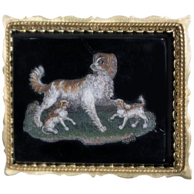 Small Antique Plate with Dogs and Puppies For Sale - Image 5 of 5