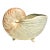 Mid Century Modern Fitz and Floyd Nautilus Seashell Planter For Sale