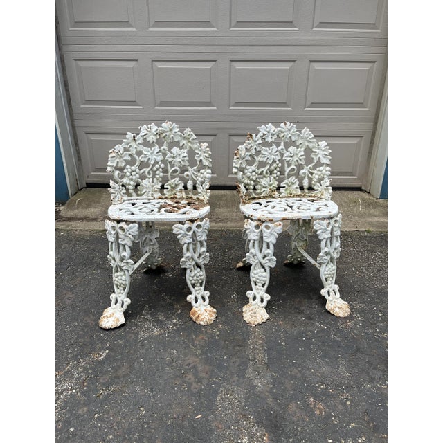 1900s Cast Iron Garden Chairs With Grape Vine Motifs - a Pair For Sale - Image 9 of 9