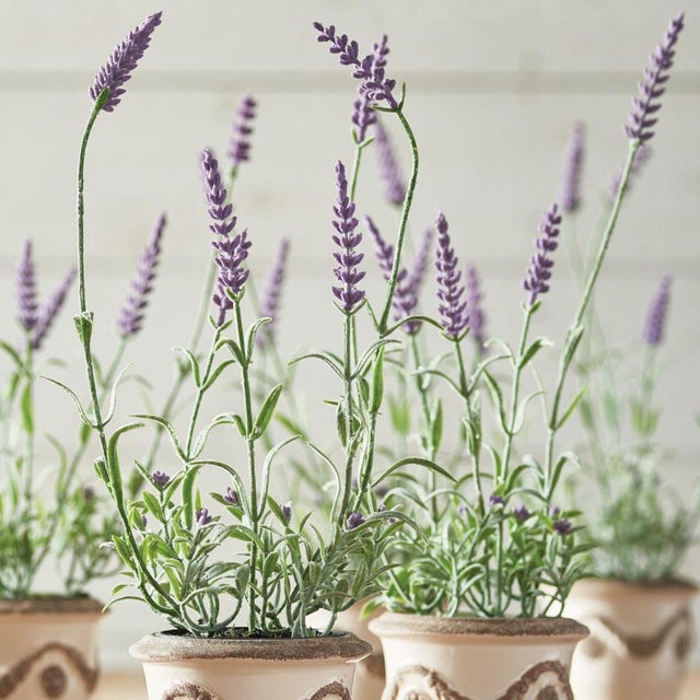 From the mini growers pot to the tone and texture of each leaf, our herbs are 100% realistic. All that, s missing is the...