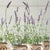 From the mini growers pot to the tone and texture of each leaf, our herbs are 100% realistic. All that, s missing is the...