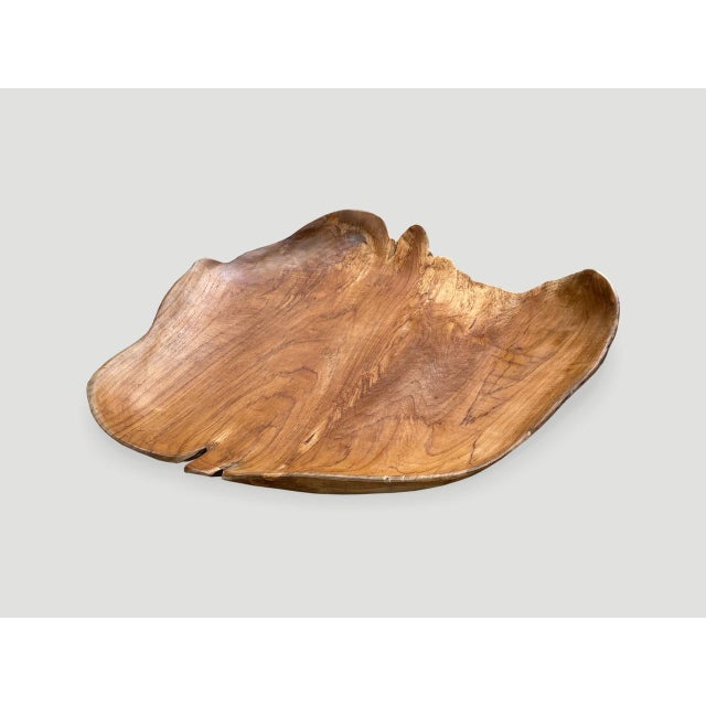 Wood Andrianna Shamaris Minimalist Teak Wood Sculptural Bowl For Sale - Image 7 of 18