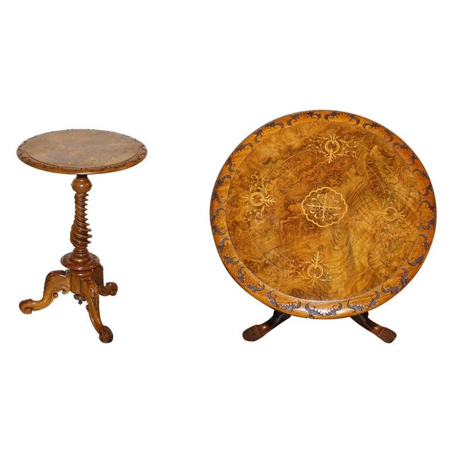 Antique Marquetry Burr Walnut Pedestal For Sale - Image 13 of 13