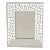 Vintage Signed Alessi Italian Stainless Steel Picture Frame Cactus Pattern, Italy For Sale