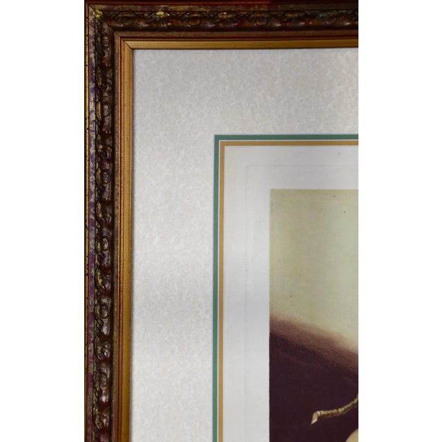 Plums: George Brookshaw 'S Framed Hand-Colored 19th C. Aquatint, 1804 For Sale In San Francisco - Image 6 of 6