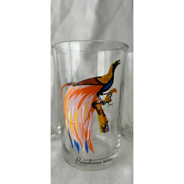 Late 20th Century Palm Springs Chic Exotic Bird Juice Glasses- Set of 4 For Sale - Image 5 of 8