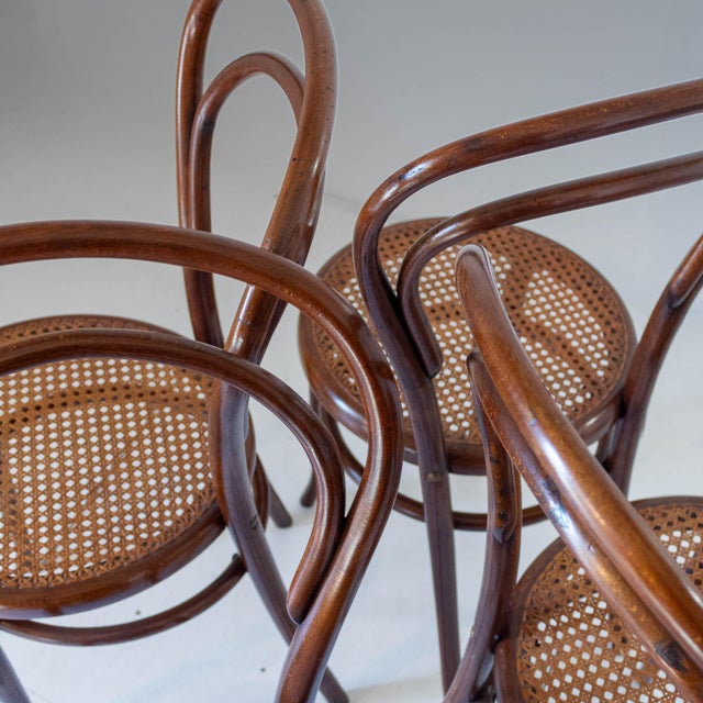 Antique Bentwood and Cane Dining Chairs by Josef Hoffmann, 1900s, Set of 4 For Sale - Image 10 of 16