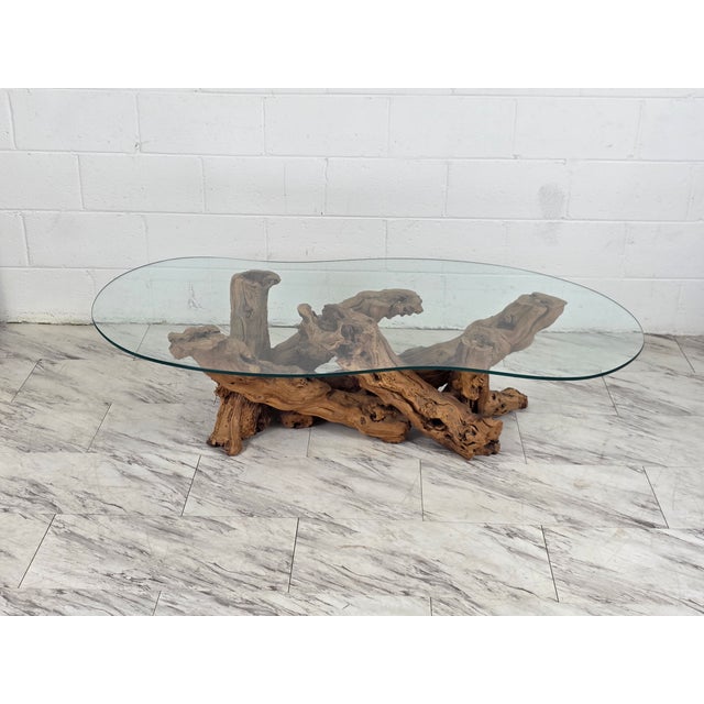 Mid 20th Century Mid 20th Century Olive Root Driftwood Coffee Table For Sale - Image 5 of 12