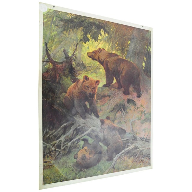 1930s Vintage Family of Brown Bears Printed Wall Chart For Sale - Image 5 of 5
