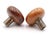Vintage Wooden Brass Dummy Door Knob Set For Sale - Image 4 of 4