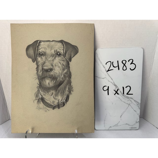 1940s Original Signed Graphite Illustration of Terrier Dog Portrait, 12 × 9 In. For Sale In Atlanta - Image 6 of 6