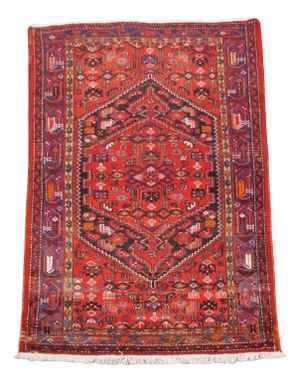 Red Rug with Patterns