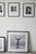 "Moon Birth" (Framed) Photography 24" X 24" in Ed. 5/15 by Olha Stepanian For Sale - Image 9 of 10