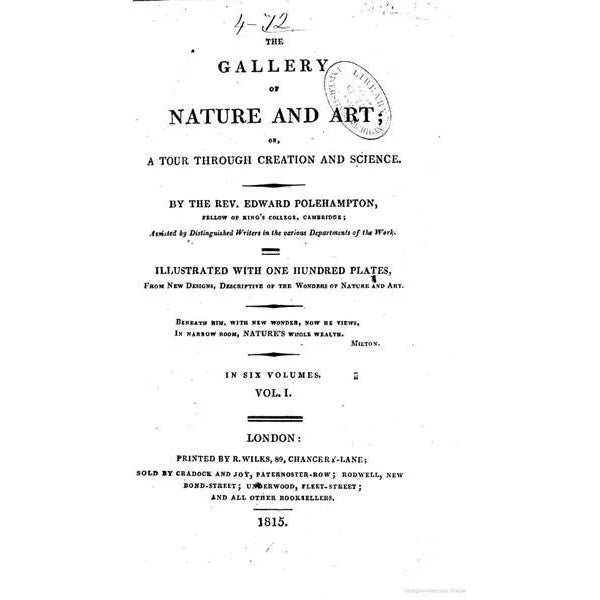After Craig, The Ancient Volcano of Owyhee or Hawaii, 1815, Print For Sale - Image 6 of 8